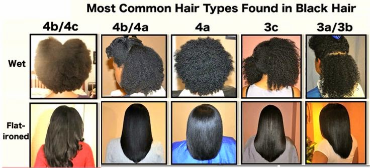 59 Best Photos Types Of Black People Hair : Natural Hair Types You Need to Know for a Strong Hair Care ...
